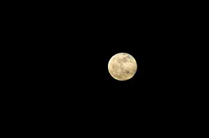 Bahama: Full moon rising at Grand Bahama Island, Bahamas