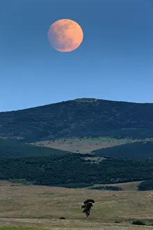 Moonlight: Full Moon - rising above hills Castro Verde, Alentejo