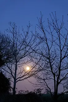 Rising: Full moon rising - Norfolk UK
