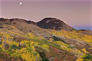 Moonlight: Moonrise in autumn (fall)