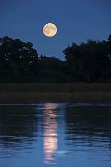 Broads: Full Moonrise over Hickling Broad, Norfolk UK