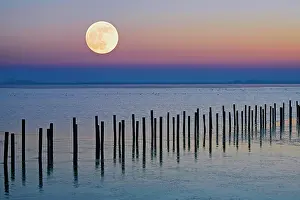 Moonrise: Moonrise in wintry landscape on the shore of Lake