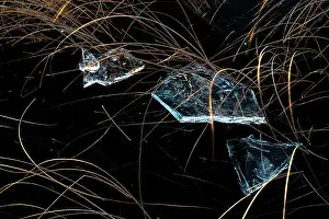 Cube: Moor Grass