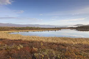 150518: Moorland Fokstumyra in autumn - Dovrefjell, Norway