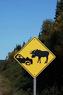 Encroachment: Moose warning traffic sign
