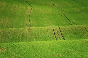 Undulating: Moravian landscapes of wavy fields with a wealth