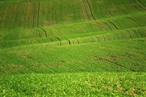 Undulating: Moravian landscapes of wavy fields with a wealth