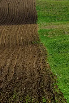 Undulating: Moravian landscapes of wavy fields with a wealth