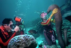 Stroking: Moray eels - Harry and Fang with Valerie Taylor