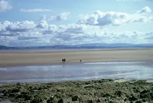 Emma Coghlan: MORECAMBE BAY & KENT ESTUARY