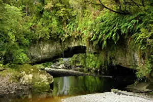 Amidst: Moria Gate Arch - and picturesque Oparara river