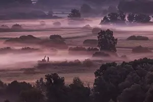 Constance: Morning atmosphere with autumn fog at Lake Constance