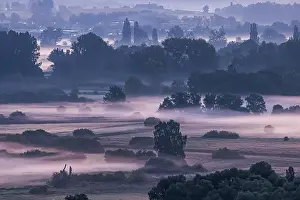 Constance: Morning atmosphere with autumn fog at Lake Constance