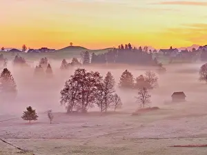 Moor: Morning atmosphere in the autumnal moor, Schnnenberg