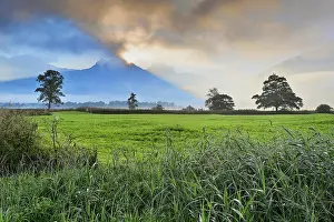 Schwyz: Morning atmosphere at Lake Lauerz with reed belt
