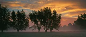 Lippe: Morning atmosphere in the meadows of the river Lippe