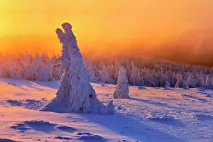 Brocken: Morning atmosphere, sunrise on the Brocken in winter