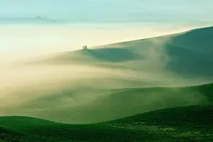 Hour: Morning atmosphere in Tuscany, hilly landscape with