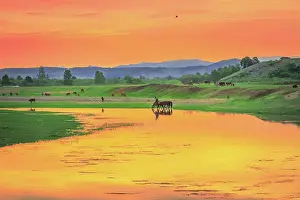 Banks: Morning colour on the banks of the Selenge River