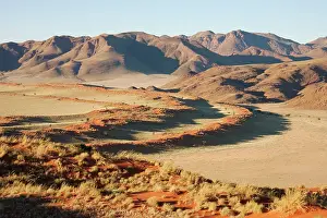 Wolwedans: In the morning at the edge of the Namib Desert