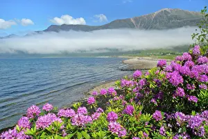 Lochs: Morning fog over Loch Torridon - and Torridon mountains