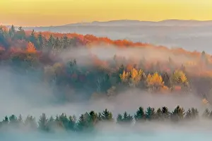 190422: Morning fog scenery - morning fog in wooded valleys of a gen