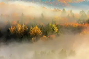 190422: Morning fog scenery - morning fog in wooded valleys of a gen