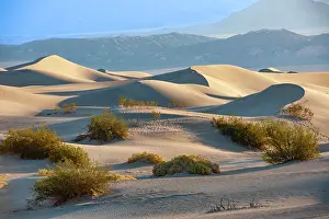 Mojave: Morning light at the Mesquite Sand Dunes, Death