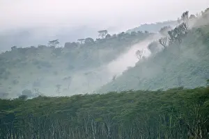 Ridges: Morning mist on ridges, Lake Nakuru National