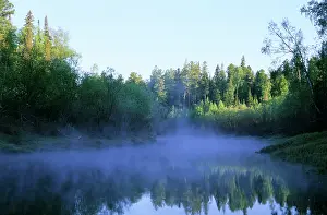 Tributary: Morning mist over river Negustyah, a tributary