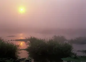 Sabie: Morning mist - sunrise over Sabie river with morning