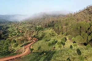 Huelva: Morning mist in the uplands of the Huelva province