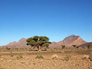 Moroccan: Moroccan desert landscape