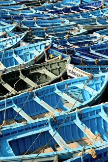 Rowing: Morocco