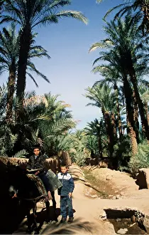 Owner: Morocco, Berber boys & donkey