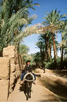Palms: MOROCCO - BERBER BOYS ON DONKEYS