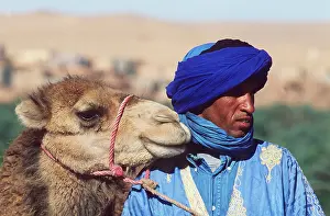 Camels: Morocco - Berber with camel, dressed as Tuareg or Blue Man