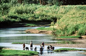 Berbers: MOROCCO - Berber Children fishing, near Tamnougait