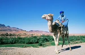 Nomads: Morocco - Berber man on camel