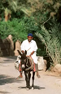 Riding: MOROCCO - BERBER MAN ON DONKEY