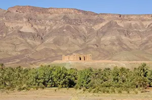 Kasbah: Morocco - The famous Kasbah (= fortress) Tamnougalt