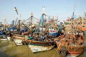 Harbours: Morocco fishing boats in harbour