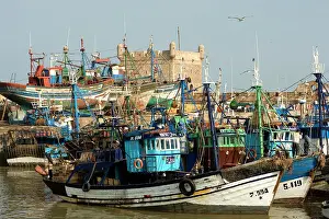 Harbours: Morocco fishing boats in harbour