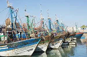 Ports: Morocco - The fishing port of Essaouira, which