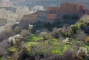 Berbers: Morocco - Ksour (= fortified villages) and kasbahs