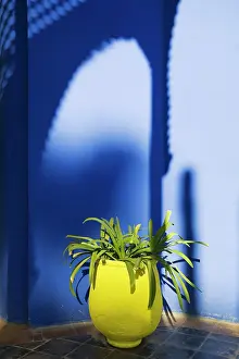 Designer: Morocco - Detail in the lovely subtropical garden