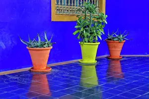 Window: Morocco, Marrakech. Majorelle Garden (Jardin Majorelle)