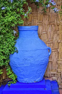Hollice: Morocco, Marrakech. Majorelle Garden (Jardin Majorelle)