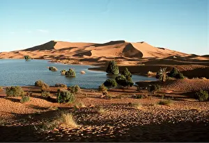 Oasis: MOROCCO - Oasis and Erg Chebbi desert sand dunes