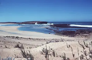 Alan Greensmith: MOROCCO - Sidi Moussa, Atlantic coast